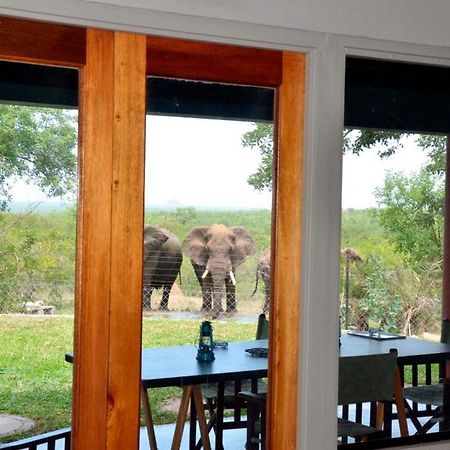 Tingala Lodge - Bed In The Bush Phalaborwa Exterior photo
